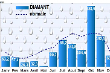 Pluviométrie 2020 - Diamant